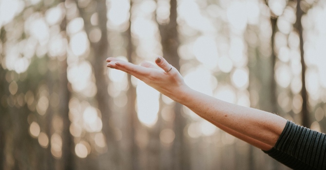 Wellness Injections